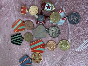 Орден красной звезды, Орден за отвагу, медаль за взятие Кенигсберга, за победу над Германией в войне 1941-1945, за победу над Японией, за доблестный труд в ВОВ , 20 лет победы в ВОВ 1941-1945