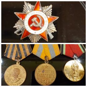 Орден Отечественной войны || степени, медаль “За взятие Будапешта ”, медаль “За победу над Германией в годы ВОВ” и юбилейная медаль “20 лет победы в ВОВ”.