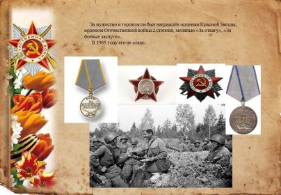 Орден красной звезды, орден Отечественной войны 2 степени, за отвагу, за боевые заслуги