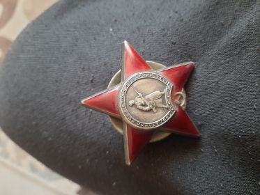 Орден Красной Звезды  , медаль За Отвагу