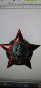 Награжден двумя медалями «За Отвагу» и орденом «Красная Звезда».