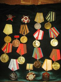 Орден Красной звезды, медали: " за оборону Ленинграда", "За боевые заслуги"," за взятие Кёнисберга", "За победу на Германией