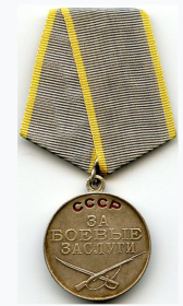 Медаль за боевые заслуги