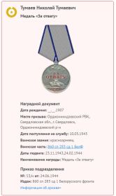 Медаль «За отвагу» Медаль «За боевые заслуги»