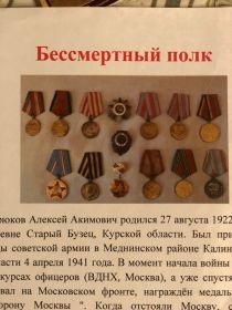 Орден Отечественной войны 2 степени.Медали: За оборону Москвы,За победу над Германией,юбилейные.