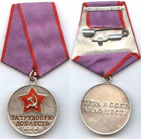 Медаль за трудовую доблесть СССР