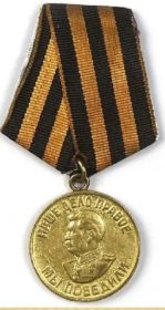 медалью «За победу над Германией в Великой Отечественной войне 1941 – 1945 г.г.»