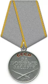 «Медалью за отвагу», «Орден Отечественной войны первой степени», медаль «За боевые заслуги"