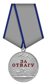 медалью «За отвагу», «За победу над Германией» и орденом Отечественной войны II степени.