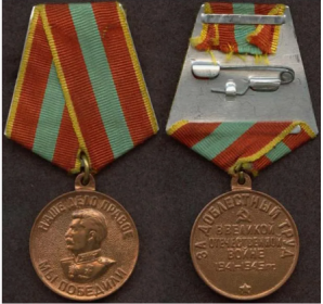 медалью "За доблестный труд в годы Великой Отечественной войны 1941-1945 гг." и орденом "Знак почета".