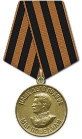 Медаль «За победу над Германией в Великой Отечественной войне 1941–1945 гг.»