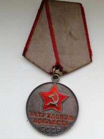 Медаль за Трудовую доблесть
