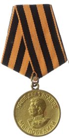 медаль «За победу над Германией в Великой Отечественной войне 1941-1945 г.г.» ,
