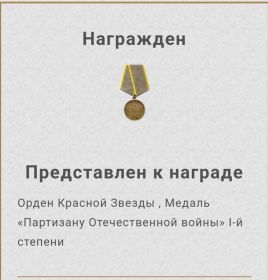 Орден Красной звезды, Медаль "Партизану Отечественной войны"