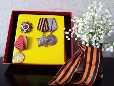 медаль «За отвагу» (12.06.1944 г.), Орден Славы III степени (06.05.1965 г.), Орден Отечественной войны I степени (Указ от 11.03.1985 г), Медаль «За победу над Германией в Великой Отечественно