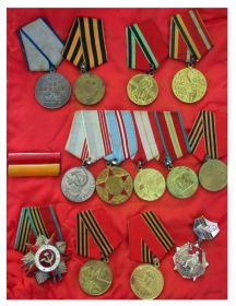 Орден Отечественной войны 1 степени; орден "СЛАВА" 3 степени; 2 медали за отвагу; другие награды в послевоенное время