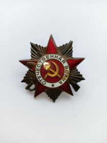 Орден Отечественной войны  I степени