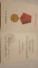 Медаль За победу над Японией, Медаль  Георгия Жукова , Орден Отечественной Войны 2 степени