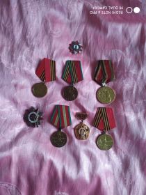 Орден Отечественной войны, Медаль за победу на Германией, Медаль Жукова, Медалями к 30-летию, 40-летию и 50-летию победы в Великой Отечественной войне