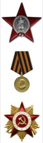 Орден Красной Звезды, Медаль «За победу над Германией в Великой  Отечественной войне 1941–1945 гг.», Орден Отечественной войны I степени