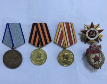 Орден Отечественной Войны.  Медали за Отвагу,  Медаль За Победу над Германией,  Медаль за Победу над Японией.