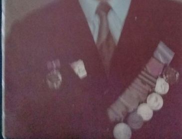 Орден Отечественной войны II степени Медаль «За отвагу» (2) Медаль «За боевые заслуги» (2)