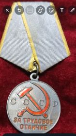Медаль За трудовое отличие