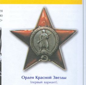 Орден Красной Звезды (1945), Орден Славы II степени (1945), Орден Славы  III степени (1945), медаль «За боевые заслуги» (1944), медаль «За взятие Берлина» (1945)и другие