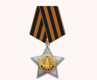 орден славы II степени