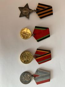 Орден Воинской Славы, Ветеран Труда, Юбилей победы 20 лет и 30 лет