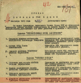 Орден Отечественной войны II степени, Орден Красной Звезды, Медаль «За победу над Японией»