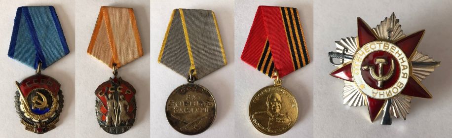 Орден трудового красного знамени, орден знак почета, за боевые заслуги, медаль Жукова, орден отечественной войны 2 степени