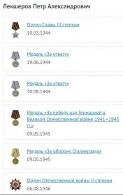 Орден Славы 3 степени, 2 медали за отвагу, медаль за Победу над Германией, медаль за оборону Сталинграда, орден Отечественной Войны