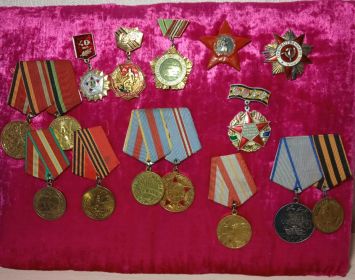 Медаль “за Отвагу”,  Медаль “За освобождение Варшавы”,  Медаль “За победу над Германией”
