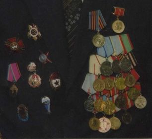 Медали: "За оборону Сталинграда", "За отвагу", "За боевые заслуги". Ордена: "Красной Звезды", "Отечественной войны".