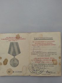 Медаль "За доблестный труд в Великой отечественной войне 1941 - 1945гг."