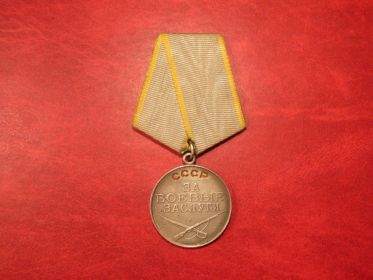 Медаль за боевые заслуги