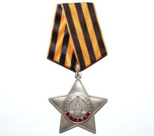 Орден Славы 3 степени