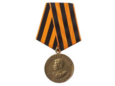Медаль «За победу над Германией в Великой Отечественной войне 1941-1945 гг.»