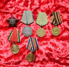 Орден Красной Звезды (2) Медаль «За отвагу» (2) Медаль «За победу над Германией в Великой Отечественной войне 1941–1945 гг.» Медаль «За оборону Ленинграда»