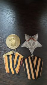 Орден Славы, медаль  За  победу на Германией