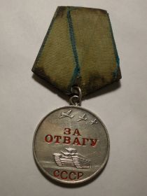 2) Медаль «За отвагу»; (2) Орден Славы III степени; Медаль «За победу над Германией в Великой Отечественной войне 1941–1945 гг.