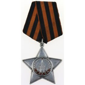 За проявленное мужество награждён Орденом Славы III Степени