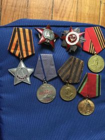 Орден Красной Звезды, Орден Славы, медаль за Победу над Германией