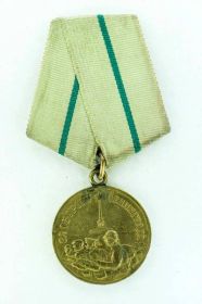 Медаль "За оборону Ленинграда", орден Красной звезды,  медаль "За победу над Германией в Великой Отечественной войне 1941-1945"
