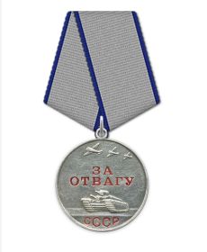 Медаль «За боевые заслуги»; (2) Орден Красной Звезды; Медаль «За оборону Кавказа»; Медаль «За победу над Германией в Великой Отечественной войне 1941–1945 гг.»; Медаль «За отвагу»