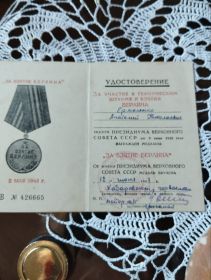 Медаль, за взятие Берлина