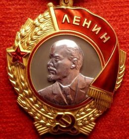 За выполнение задач по доставке грузов на Курскую Дугу и на Сталинградскую битву был награжден Орденом Ленина.