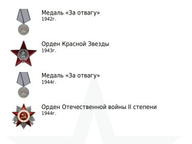 Медаль «За отвагу» 1942г; Орден Красной Звезды 1943г; Медаль «За отвагу» 1944г.;  Орден Отечественной войны II степени 1944г.