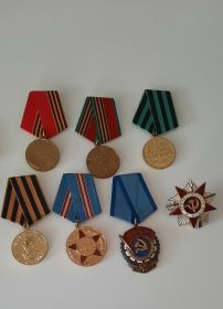 Орден Отечественной войны 1 степени, Медаль за взятие Кенигсберга, медаль за победу над Германией,медаль маршала Георгия Жукова, орден трудового Красного знамени, юбилейные медали.